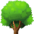 Octree