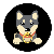 Australian-kelpie