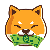 Baby-doge-cash