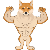 Alpha-shiba-inu