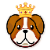 Doge-king