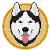 Husky-inu
