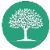 Reforestation-mahogany