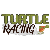 Turtle-racing
