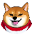 Christmas-shiba