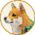 Floki-ai