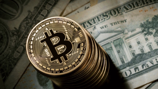 Harvard Economist Says Bitcoin More Likely to Reach $100 than $100,000 in Next Ten Years