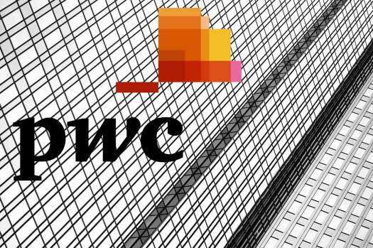 Digital Currencies Are The Only Usable Digital Assets Currently, Says PwC