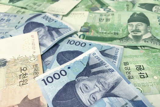 South Korean Central Bank Sets Up A CBDC Advisory Group for Digital Won
