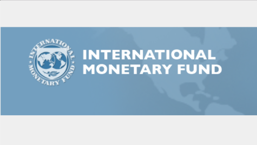IMF Raises Legal and Economic Concerns With El Salvador Declaring Bitcoin As Legal Tender